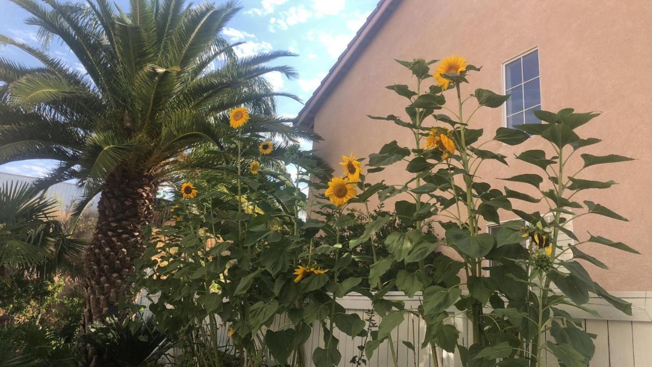 Balloons And Wine Murrieta Exterior foto