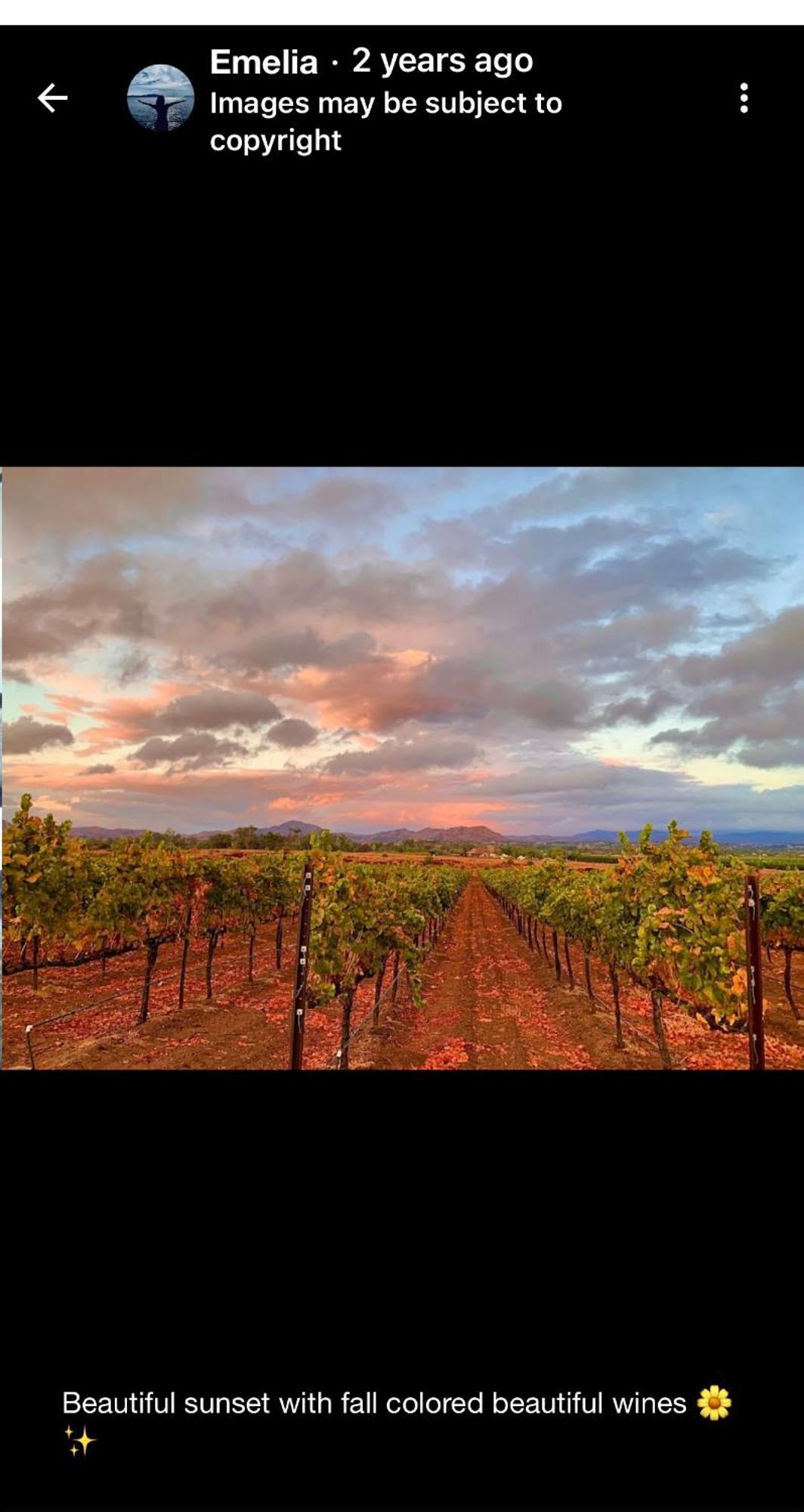 Balloons And Wine Murrieta Exterior foto